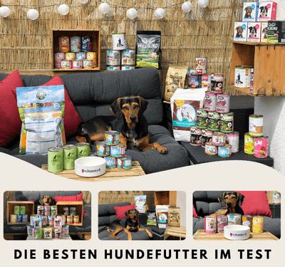 soft futter hund test|Hundefutter Test 2024: Die 15 besten Hundefutter im Vergleich.